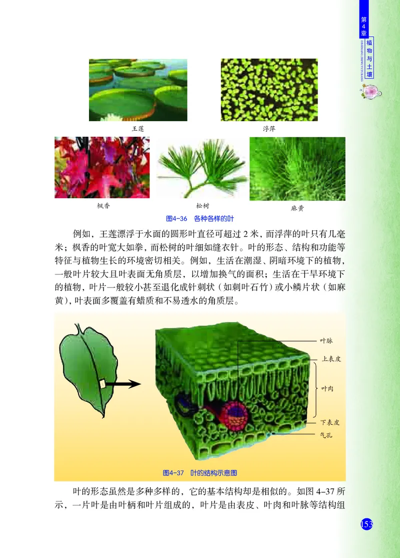 浙教版8年级科学下册高清教材_4-教培资料-26年最新资料-同步更新_初中高中教资_03科三专项（进去保存报考的学科即可）_02科三专项（笔记真题思维导图教学设计版本二）