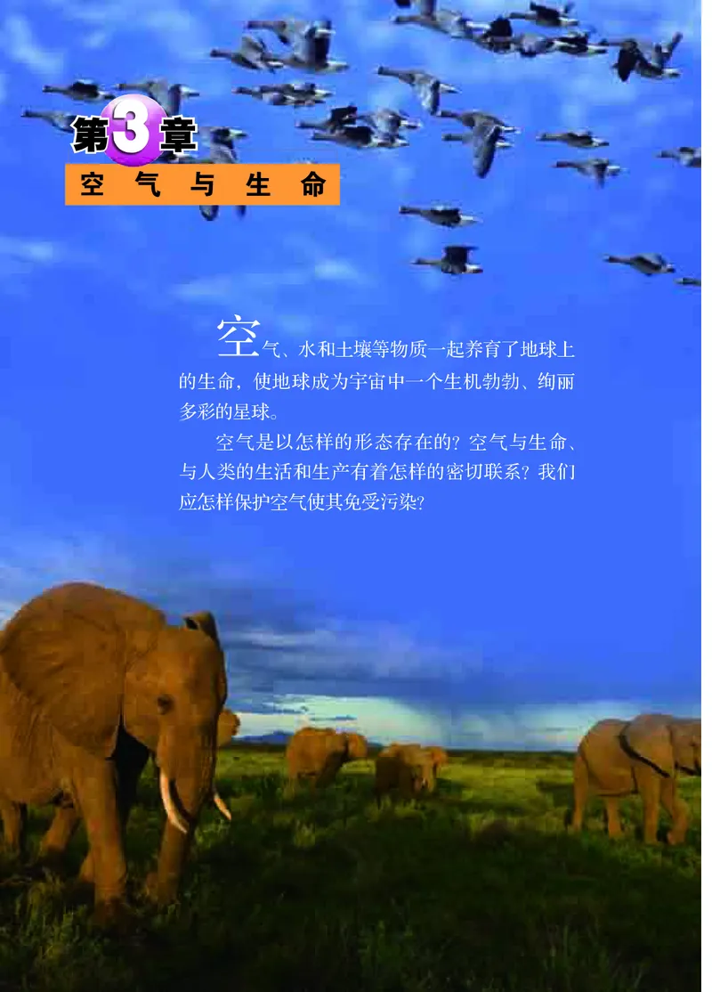 浙教版8年级科学下册高清教材_4-教培资料-26年最新资料-同步更新_初中高中教资_03科三专项（进去保存报考的学科即可）_02科三专项（笔记真题思维导图教学设计版本二）