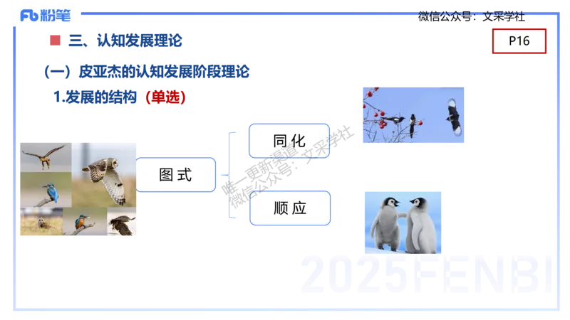 幼儿科目二理论精讲2&mdash;保教知识与能力&mdash;袁枍_4-教培资料-26年最新资料-同步更新_幼儿教资_012025下FB幼儿系统班_幼儿园25下-保教知识与能力_1.理论精讲_讲义