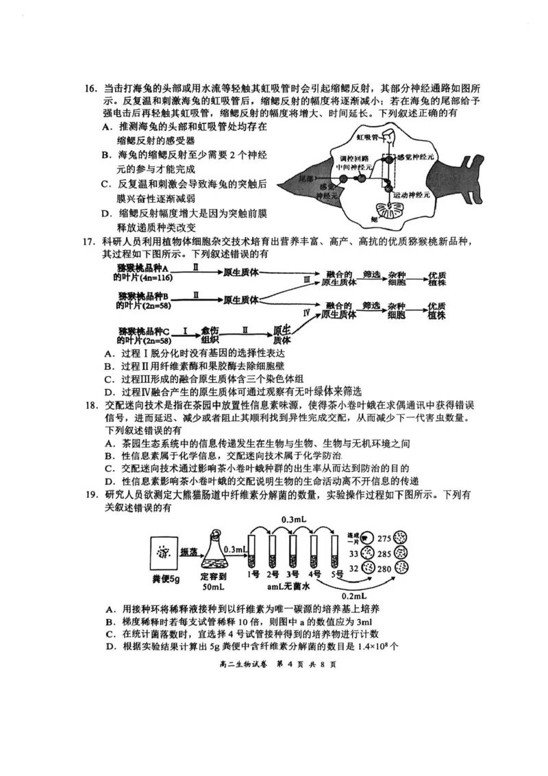 江苏省盐城市2024-2025学年高二下学期期末考试生物试卷（含答案）_2025年6月_250625江苏盐城市2024-2025学年高二下学期期末考试（全科）