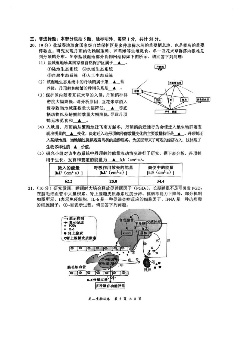 江苏省盐城市2024-2025学年高二下学期期末考试生物试卷（含答案）_2025年6月_250625江苏盐城市2024-2025学年高二下学期期末考试（全科）
