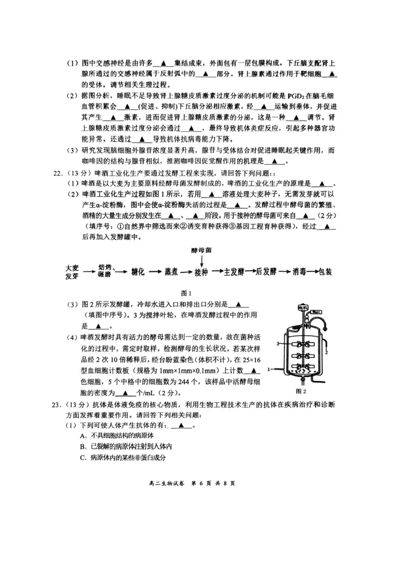 江苏省盐城市2024-2025学年高二下学期期末考试生物试卷（含答案）_2025年6月_250625江苏盐城市2024-2025学年高二下学期期末考试（全科）