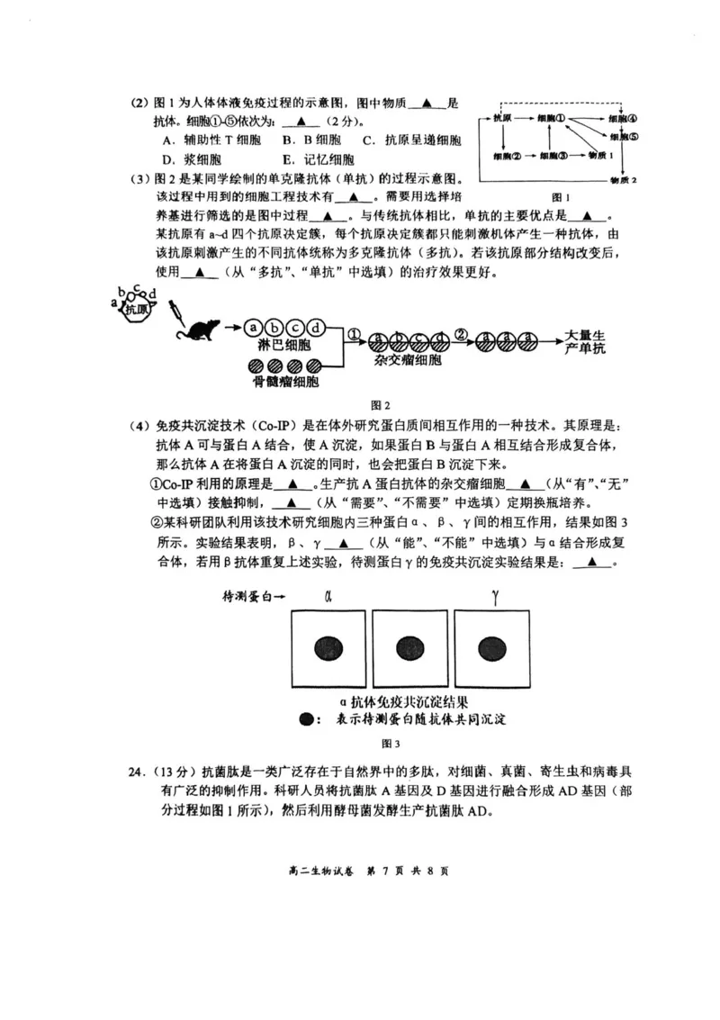 江苏省盐城市2024-2025学年高二下学期期末考试生物试卷（含答案）_2025年6月_250625江苏盐城市2024-2025学年高二下学期期末考试（全科）