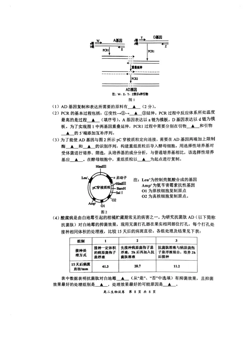 江苏省盐城市2024-2025学年高二下学期期末考试生物试卷（含答案）_2025年6月_250625江苏盐城市2024-2025学年高二下学期期末考试（全科）