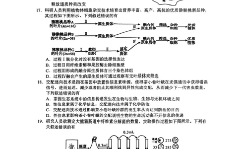 江苏省盐城市2024-2025学年高二下学期期末考试生物试卷（含答案）_2025年6月_250625江苏盐城市2024-2025学年高二下学期期末考试（全科）