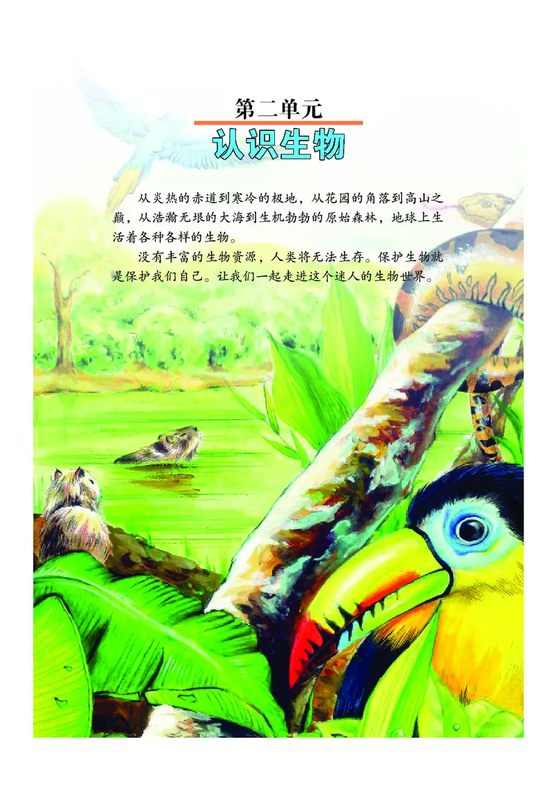 武汉版7年级科学上册高清教材_4-教培资料-26年最新资料-同步更新_初中高中教资_03科三专项（进去保存报考的学科即可）_02科三专项（笔记真题思维导图教学设计版本二）