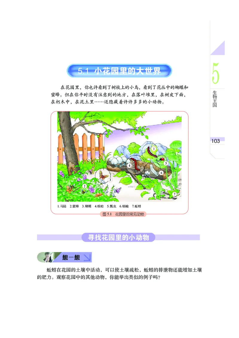 武汉版7年级科学上册高清教材_4-教培资料-26年最新资料-同步更新_初中高中教资_03科三专项（进去保存报考的学科即可）_02科三专项（笔记真题思维导图教学设计版本二）