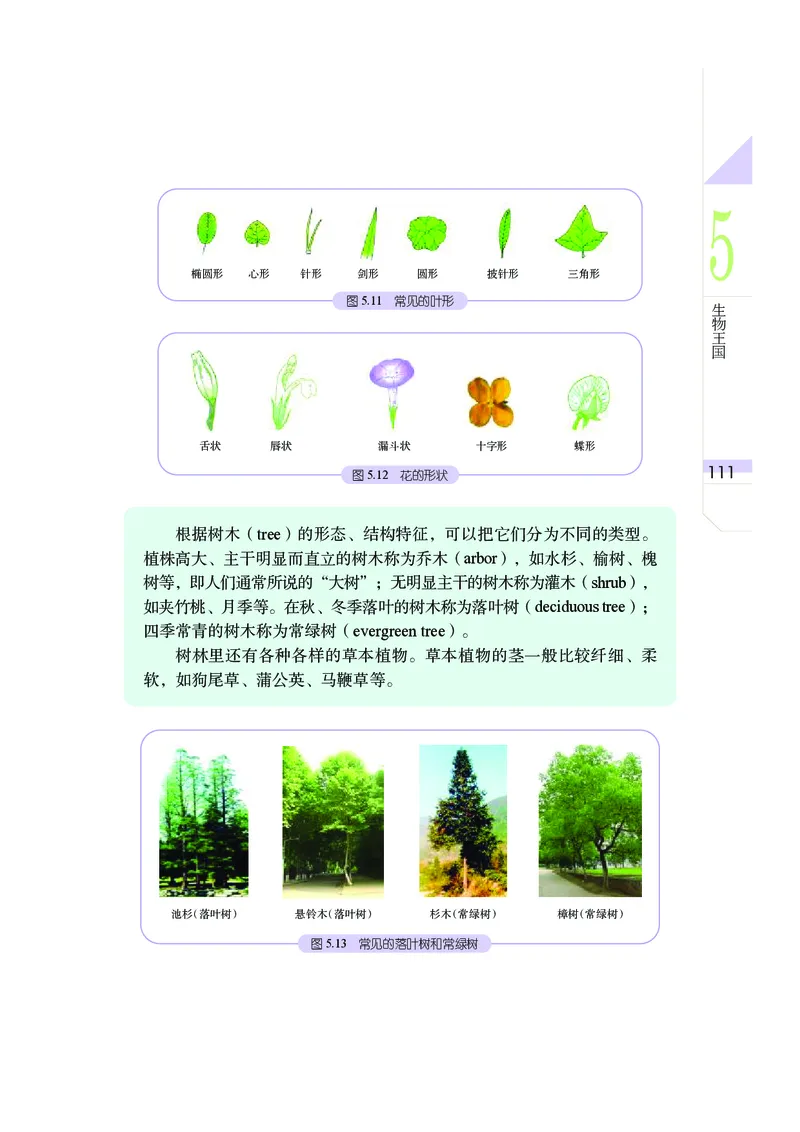 武汉版7年级科学上册高清教材_4-教培资料-26年最新资料-同步更新_初中高中教资_03科三专项（进去保存报考的学科即可）_02科三专项（笔记真题思维导图教学设计版本二）