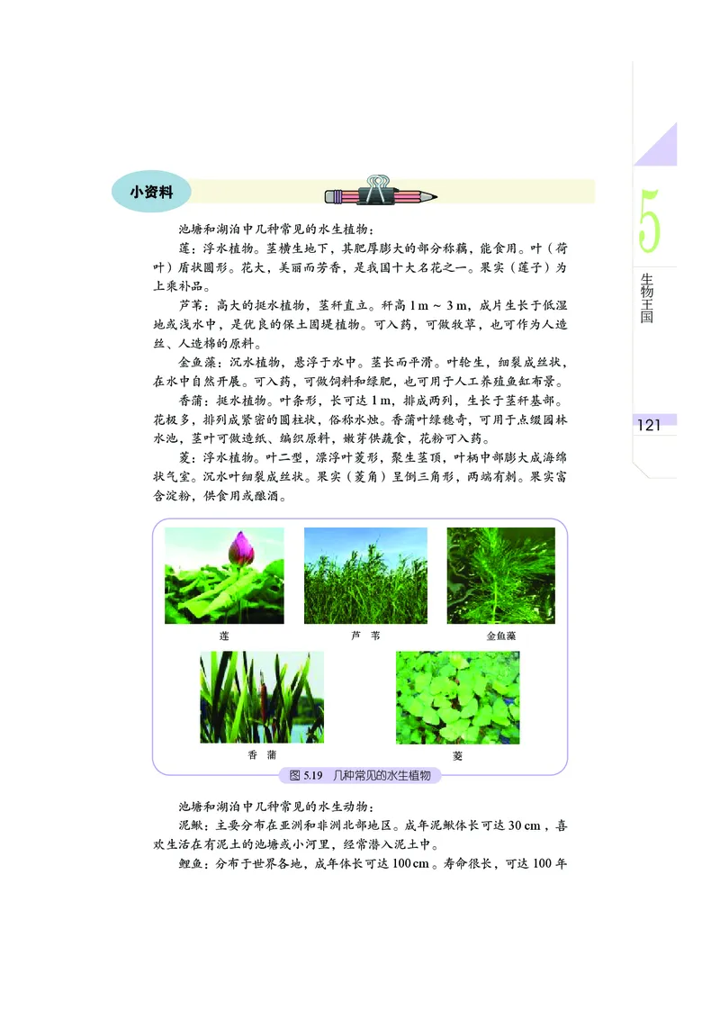 武汉版7年级科学上册高清教材_4-教培资料-26年最新资料-同步更新_初中高中教资_03科三专项（进去保存报考的学科即可）_02科三专项（笔记真题思维导图教学设计版本二）