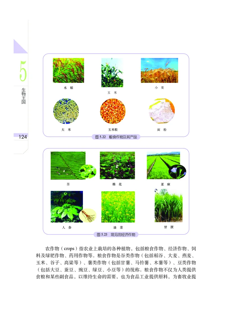武汉版7年级科学上册高清教材_4-教培资料-26年最新资料-同步更新_初中高中教资_03科三专项（进去保存报考的学科即可）_02科三专项（笔记真题思维导图教学设计版本二）
