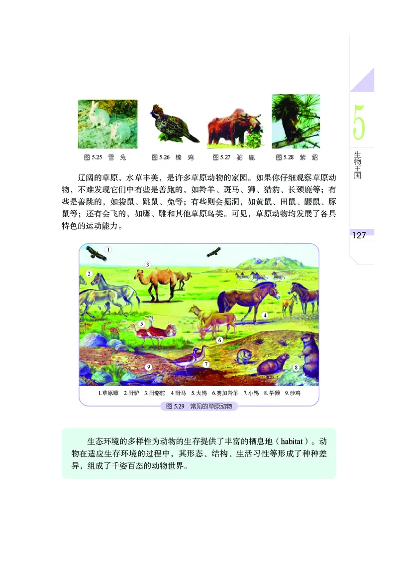 武汉版7年级科学上册高清教材_4-教培资料-26年最新资料-同步更新_初中高中教资_03科三专项（进去保存报考的学科即可）_02科三专项（笔记真题思维导图教学设计版本二）