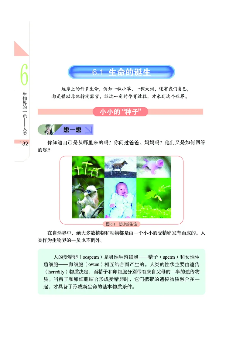 武汉版7年级科学上册高清教材_4-教培资料-26年最新资料-同步更新_初中高中教资_03科三专项（进去保存报考的学科即可）_02科三专项（笔记真题思维导图教学设计版本二）