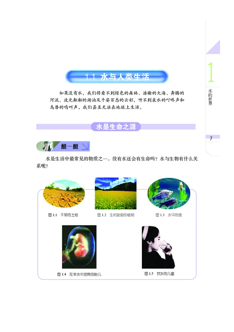 武汉版7年级科学上册高清教材_4-教培资料-26年最新资料-同步更新_初中高中教资_03科三专项（进去保存报考的学科即可）_02科三专项（笔记真题思维导图教学设计版本二）