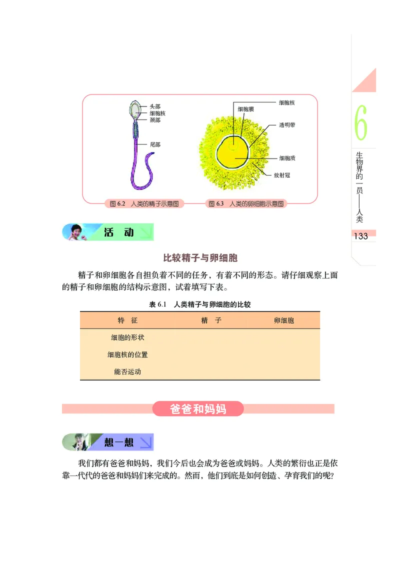 武汉版7年级科学上册高清教材_4-教培资料-26年最新资料-同步更新_初中高中教资_03科三专项（进去保存报考的学科即可）_02科三专项（笔记真题思维导图教学设计版本二）
