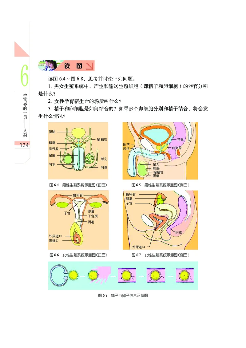 武汉版7年级科学上册高清教材_4-教培资料-26年最新资料-同步更新_初中高中教资_03科三专项（进去保存报考的学科即可）_02科三专项（笔记真题思维导图教学设计版本二）
