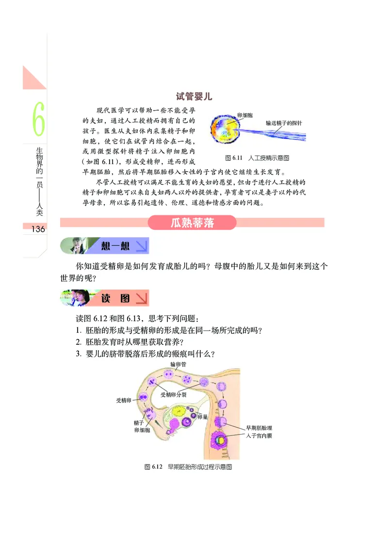 武汉版7年级科学上册高清教材_4-教培资料-26年最新资料-同步更新_初中高中教资_03科三专项（进去保存报考的学科即可）_02科三专项（笔记真题思维导图教学设计版本二）