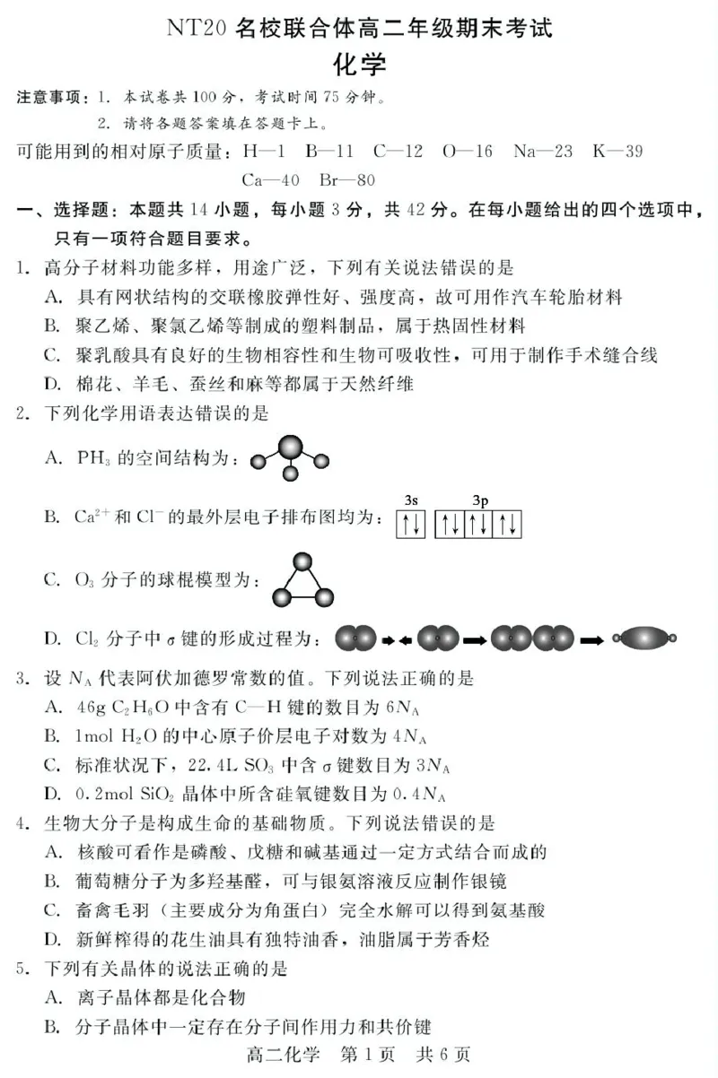 2024-2025学年第二学期河北省衡水市廊坊市等学校NT20名校联合体高二年级期末考试数学（含答案）202507月NT20高二化学_2025年7月