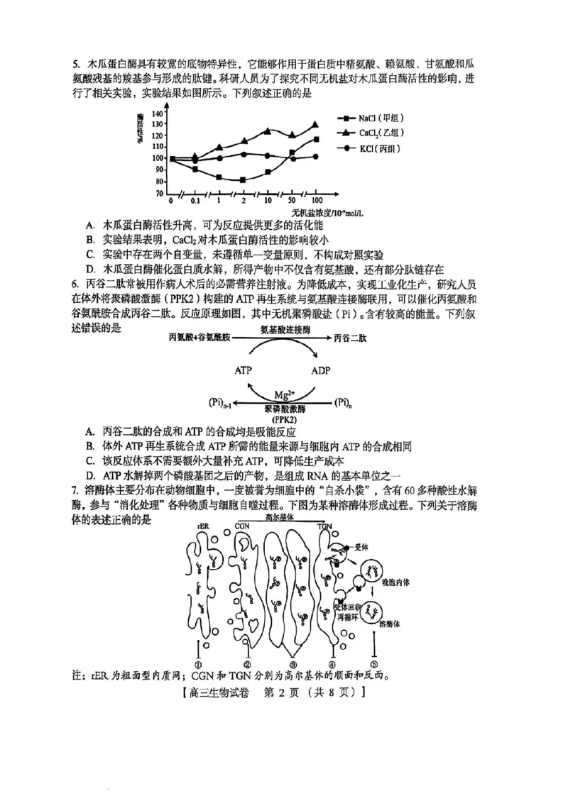 三门峡市2025&mdash;2026学年度高三阶段性考试生物_251109河南省三门峡市2025&mdash;2026学年度高三阶段性考试（全科）