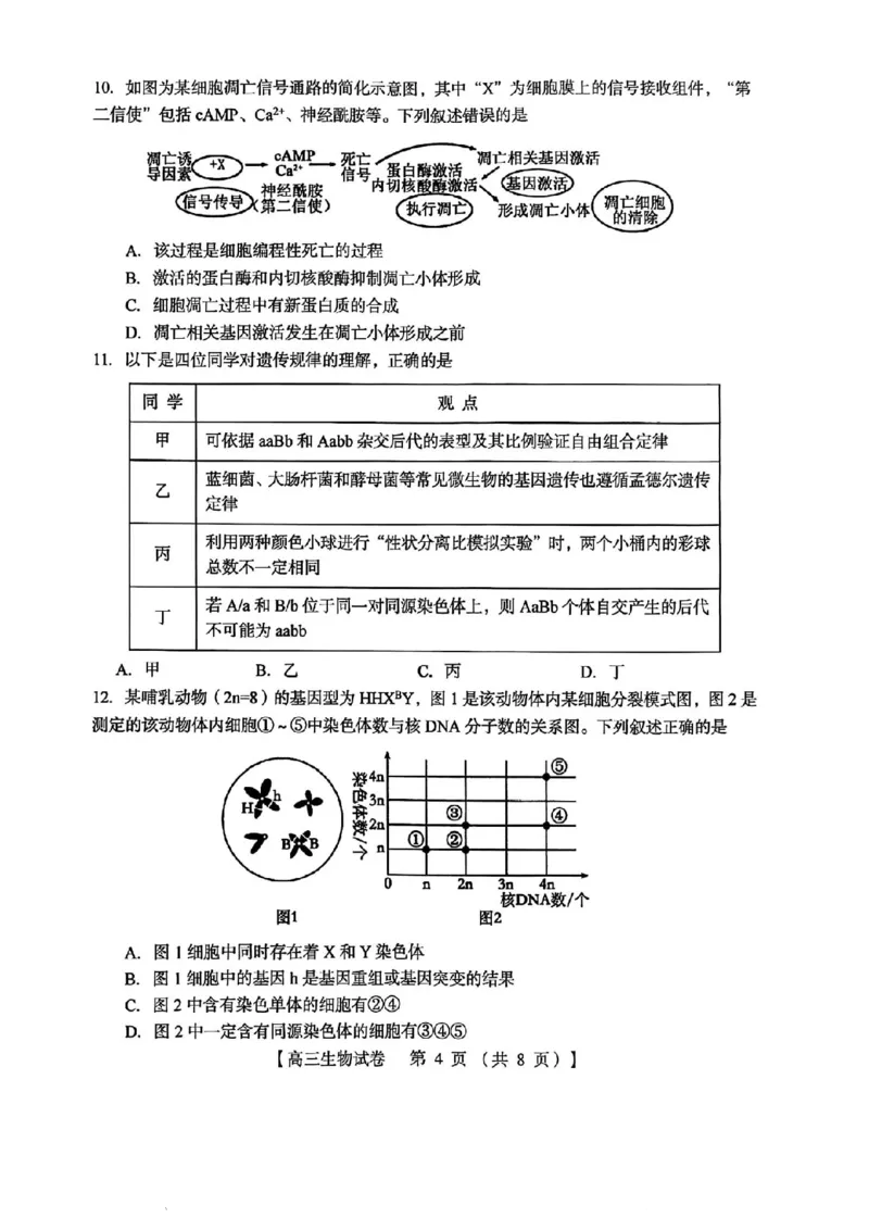 三门峡市2025&mdash;2026学年度高三阶段性考试生物_251109河南省三门峡市2025&mdash;2026学年度高三阶段性考试（全科）