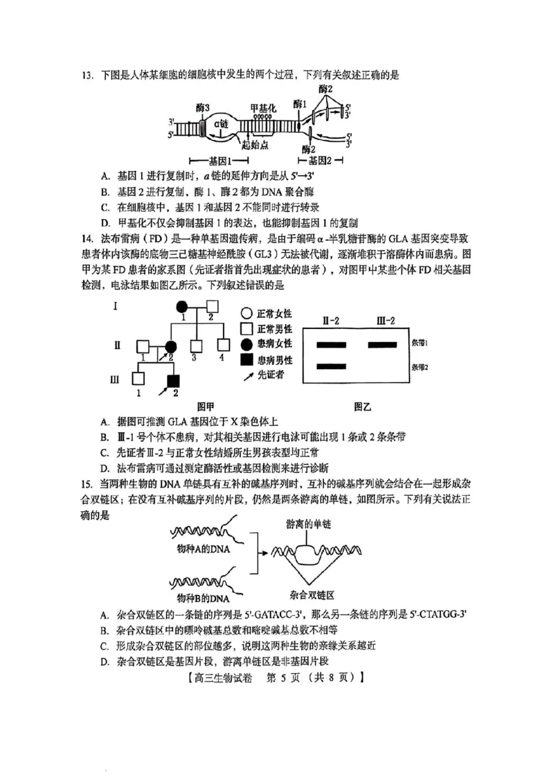 三门峡市2025&mdash;2026学年度高三阶段性考试生物_251109河南省三门峡市2025&mdash;2026学年度高三阶段性考试（全科）