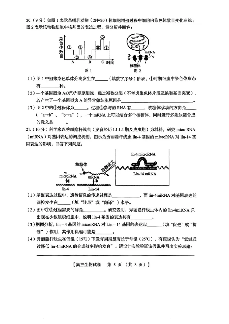 三门峡市2025&mdash;2026学年度高三阶段性考试生物_251109河南省三门峡市2025&mdash;2026学年度高三阶段性考试（全科）