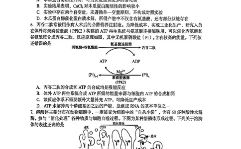 三门峡市2025&mdash;2026学年度高三阶段性考试生物_251109河南省三门峡市2025&mdash;2026学年度高三阶段性考试（全科）