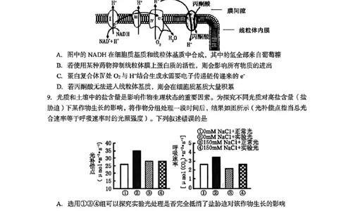 三门峡市2025&mdash;2026学年度高三阶段性考试生物_251109河南省三门峡市2025&mdash;2026学年度高三阶段性考试（全科）