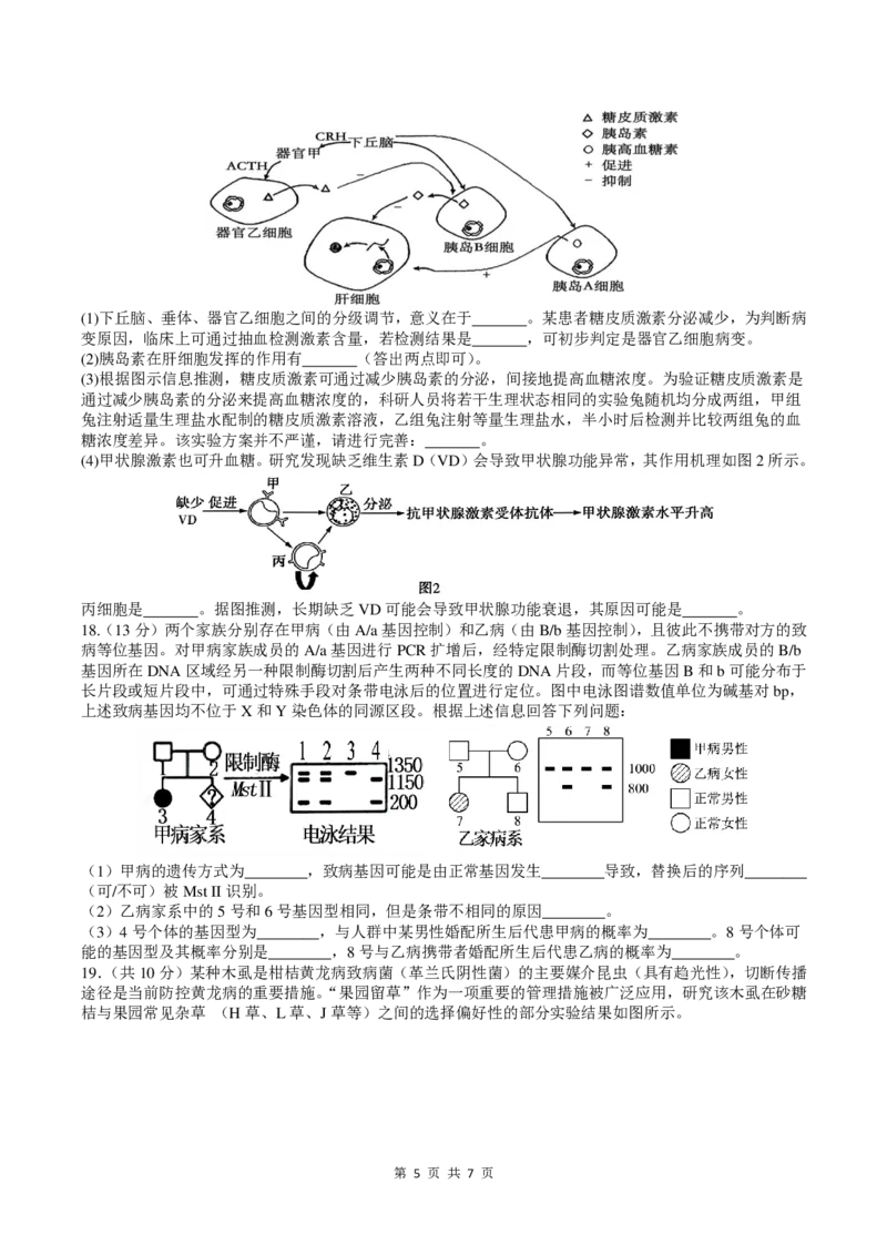 四川省成都市第七中学2024~2025学年度下期高2025届高考热身考试生物_2025年6月_250602四川省成都市第七中学2024~2025学年度下期高2025届高考热身考试（全科）