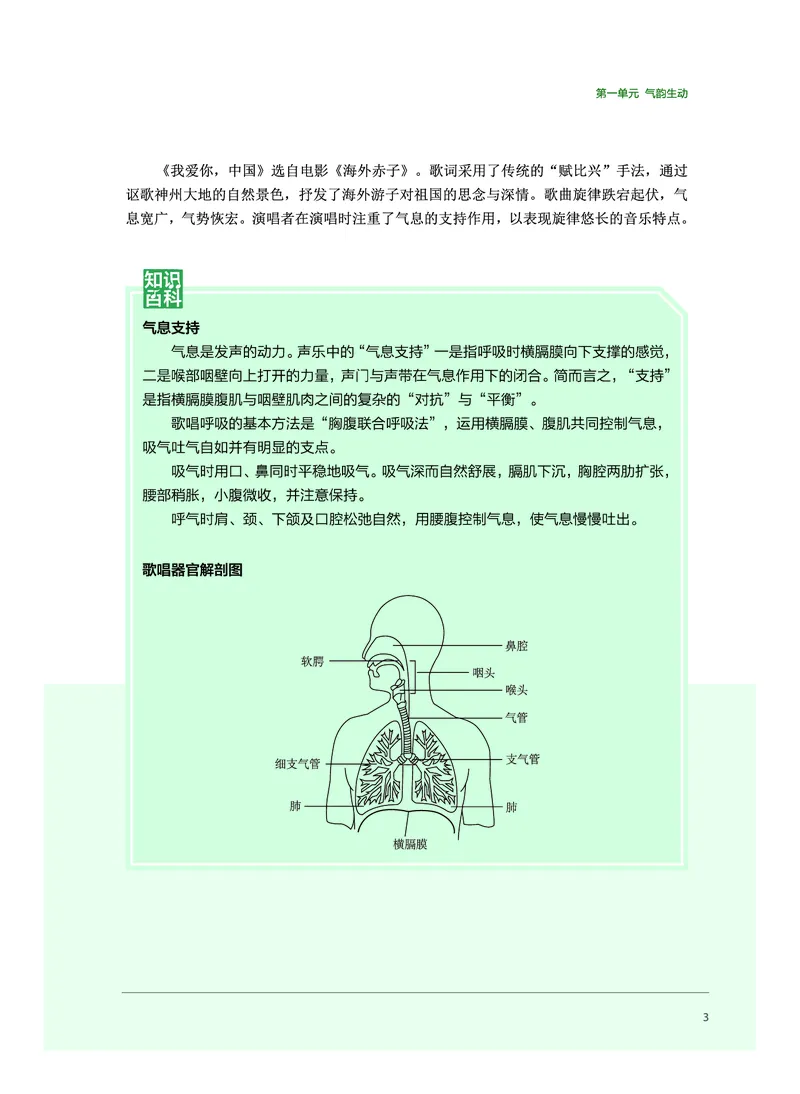 沪音版音乐必修2高清教材_4-教培资料-26年最新资料-同步更新_初中高中教资_03科三专项（进去保存报考的学科即可）_02科三专项（笔记真题思维导图教学设计版本二）
