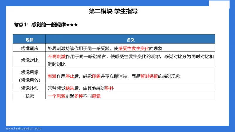小学科二单选与简答急救（1）_4-教培资料-26年最新资料-同步更新_小学教资_小学冲刺急救包_5.L姨冲刺70分[急救班]_小学冲刺抢分课（25下急救班）_科二_配套讲义(1)