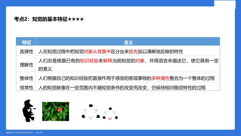 小学科二单选与简答急救（1）_4-教培资料-26年最新资料-同步更新_小学教资_小学冲刺急救包_5.L姨冲刺70分[急救班]_小学冲刺抢分课（25下急救班）_科二_配套讲义(1)