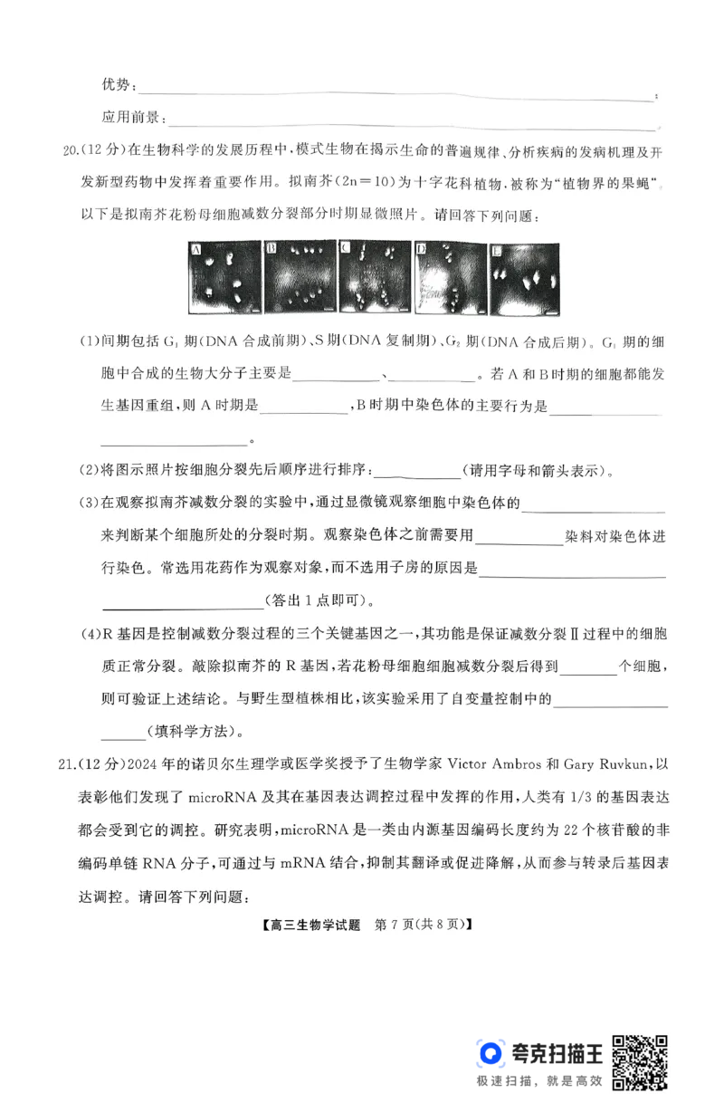 天壹名校联盟长望浏宁四县市2026届高三11月期中质量检测生物_251122湖南天壹名校联盟长望浏宁四县市2026届高三11月期中质量检测（全科）