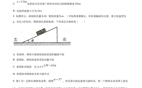 湖北省仙桃中学2025-2026学年高三上学期10月期中物理试题（原卷版）_251110湖北省仙桃中学2026届高三上学期期中考试（全科）