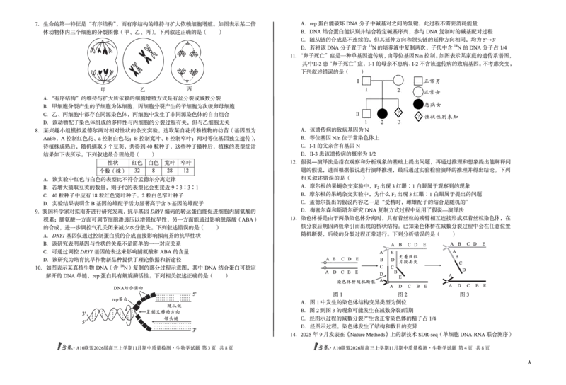 安徽A10联盟26届高三生物11月期中联考试卷_12026年试卷教辅资源等多个文件_251118安徽1号卷&middot;A10联盟2026届高三上学期11月期中质量检测（全科）