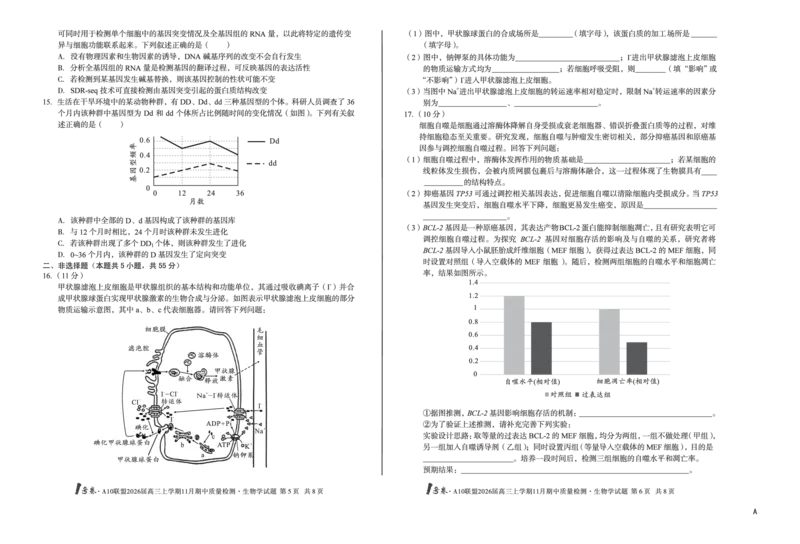 安徽A10联盟26届高三生物11月期中联考试卷_12026年试卷教辅资源等多个文件_251118安徽1号卷&middot;A10联盟2026届高三上学期11月期中质量检测（全科）