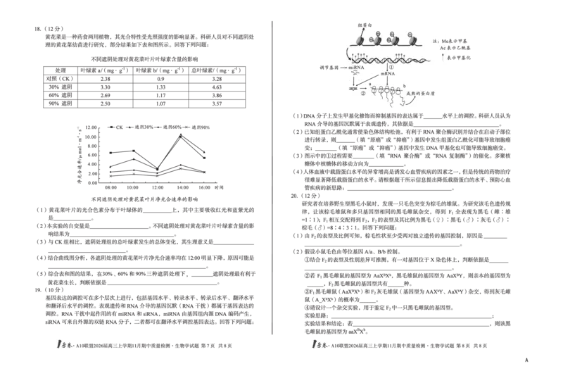 安徽A10联盟26届高三生物11月期中联考试卷_12026年试卷教辅资源等多个文件_251118安徽1号卷&middot;A10联盟2026届高三上学期11月期中质量检测（全科）
