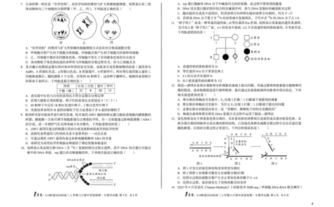 安徽A10联盟26届高三生物11月期中联考试卷_12026年试卷教辅资源等多个文件_251118安徽1号卷&middot;A10联盟2026届高三上学期11月期中质量检测（全科）