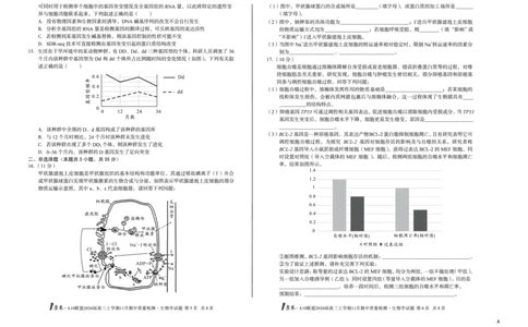 安徽A10联盟26届高三生物11月期中联考试卷_12026年试卷教辅资源等多个文件_251118安徽1号卷&middot;A10联盟2026届高三上学期11月期中质量检测（全科）
