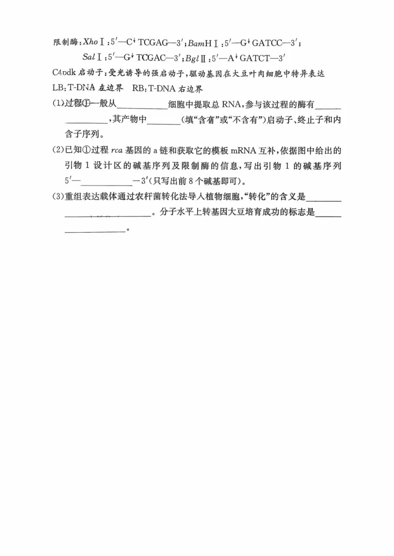 湖南省长沙市第一中学2025-2026学年高三上学期月考（四）（11月）生物学_251130湖南省长沙市第一中学2025-2026学年高三上学期11月月考（全科）