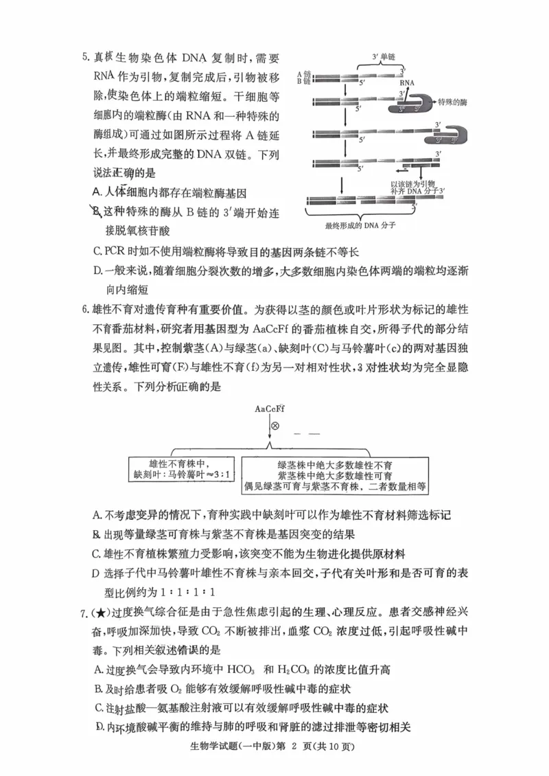湖南省长沙市第一中学2025-2026学年高三上学期月考（四）（11月）生物学_251130湖南省长沙市第一中学2025-2026学年高三上学期11月月考（全科）