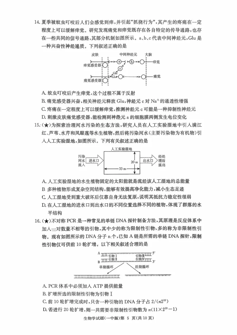 湖南省长沙市第一中学2025-2026学年高三上学期月考（四）（11月）生物学_251130湖南省长沙市第一中学2025-2026学年高三上学期11月月考（全科）