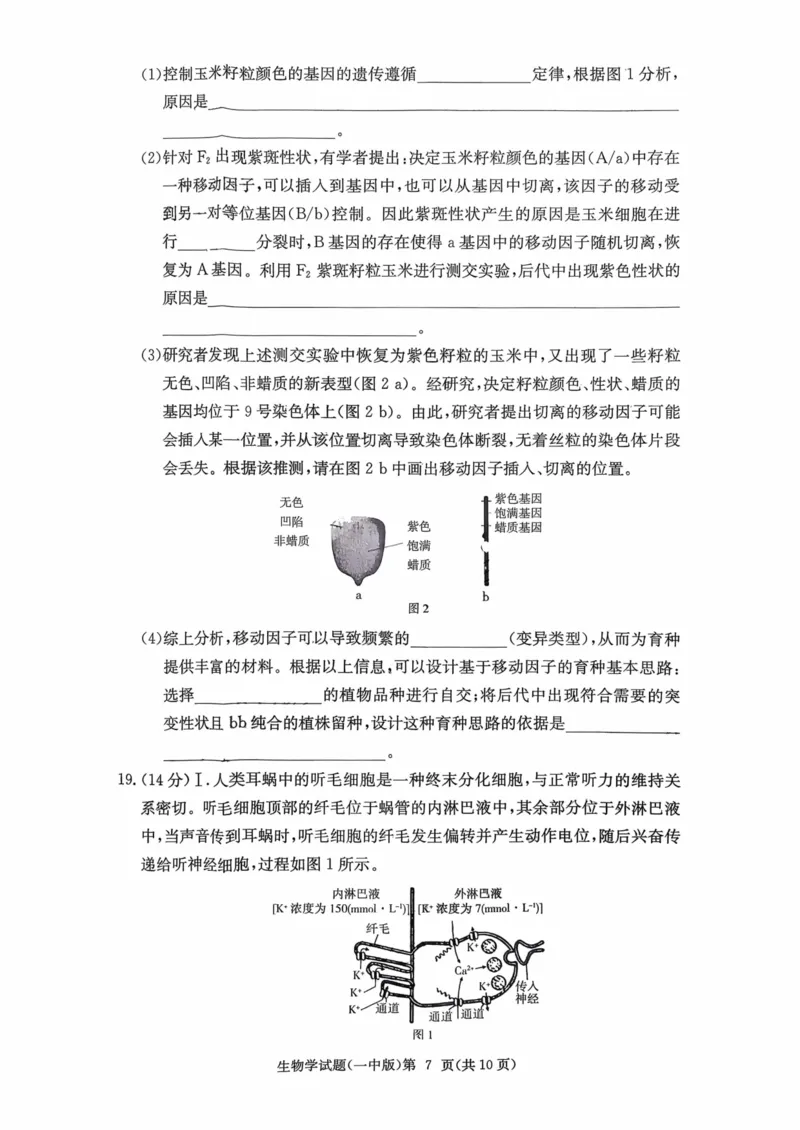 湖南省长沙市第一中学2025-2026学年高三上学期月考（四）（11月）生物学_251130湖南省长沙市第一中学2025-2026学年高三上学期11月月考（全科）
