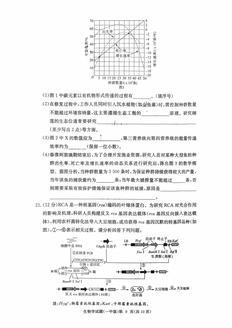 湖南省长沙市第一中学2025-2026学年高三上学期月考（四）（11月）生物学_251130湖南省长沙市第一中学2025-2026学年高三上学期11月月考（全科）