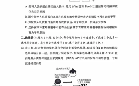 湖南省长沙市第一中学2025-2026学年高三上学期月考（四）（11月）生物学_251130湖南省长沙市第一中学2025-2026学年高三上学期11月月考（全科）