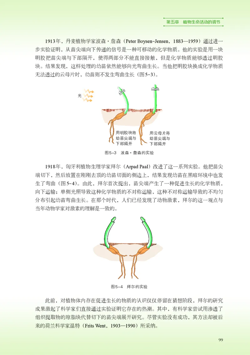 浙科版生物选修1高清教材_4-教培资料-26年最新资料-同步更新_初中高中教资_03科三专项（进去保存报考的学科即可）_02科三专项（笔记真题思维导图教学设计版本二）