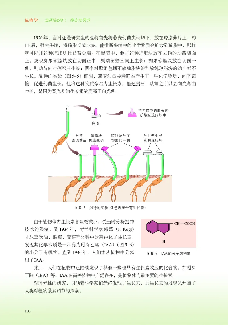 浙科版生物选修1高清教材_4-教培资料-26年最新资料-同步更新_初中高中教资_03科三专项（进去保存报考的学科即可）_02科三专项（笔记真题思维导图教学设计版本二）