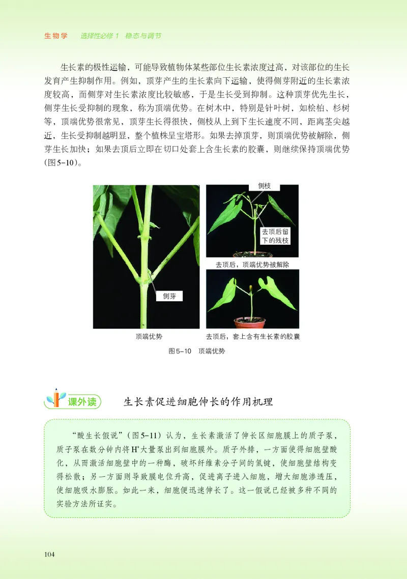 浙科版生物选修1高清教材_4-教培资料-26年最新资料-同步更新_初中高中教资_03科三专项（进去保存报考的学科即可）_02科三专项（笔记真题思维导图教学设计版本二）