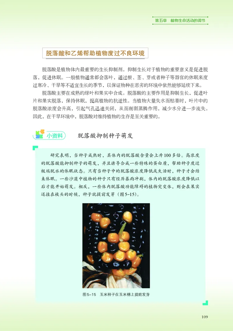 浙科版生物选修1高清教材_4-教培资料-26年最新资料-同步更新_初中高中教资_03科三专项（进去保存报考的学科即可）_02科三专项（笔记真题思维导图教学设计版本二）