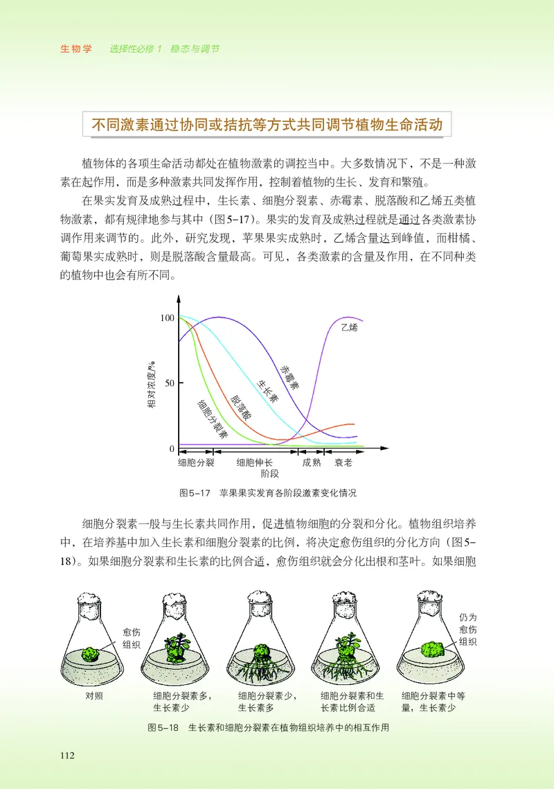 浙科版生物选修1高清教材_4-教培资料-26年最新资料-同步更新_初中高中教资_03科三专项（进去保存报考的学科即可）_02科三专项（笔记真题思维导图教学设计版本二）
