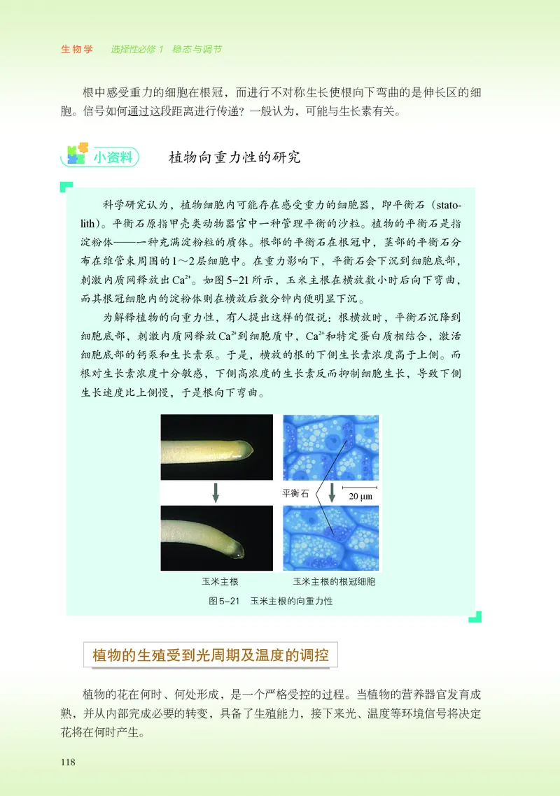 浙科版生物选修1高清教材_4-教培资料-26年最新资料-同步更新_初中高中教资_03科三专项（进去保存报考的学科即可）_02科三专项（笔记真题思维导图教学设计版本二）